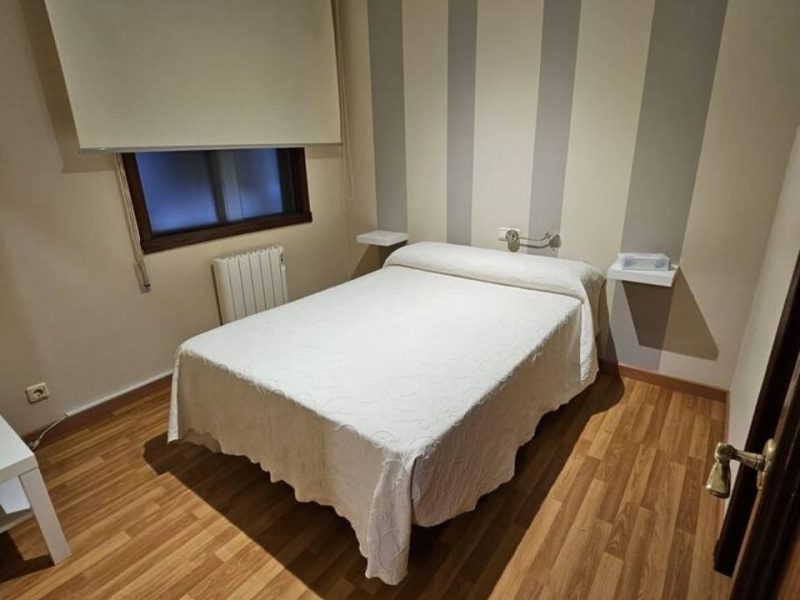 Rosalía de Castro 2026