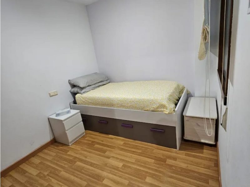 Rosalía de Castro 2026